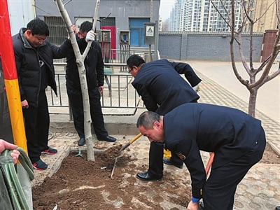 邯郸市排水监察中队组织开展绿化庭院活动